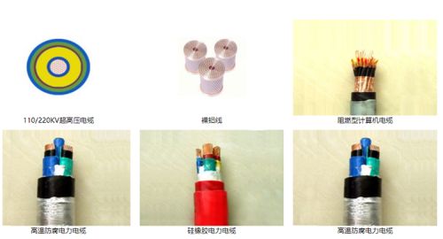 山東智造 綠色創新驚艷全球，環保產品引領未來市場